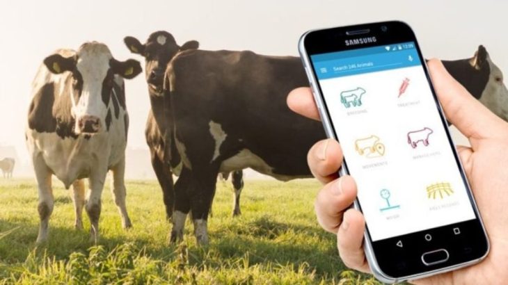 How-Technology-and-Automation-Revolutionising-in-Dairy-Industry-in-India